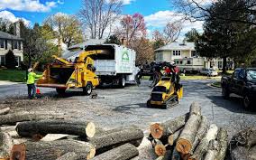 Best Hazardous Tree Removal  in Walnut Creek, CA